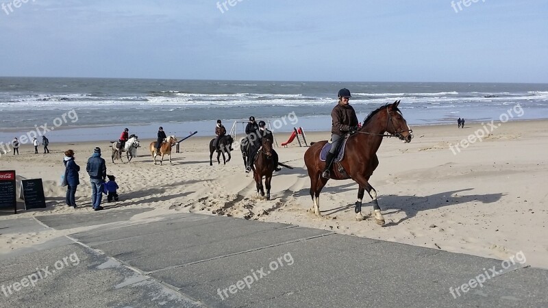 Zeeland Oostkapelle Sea Beach Sand