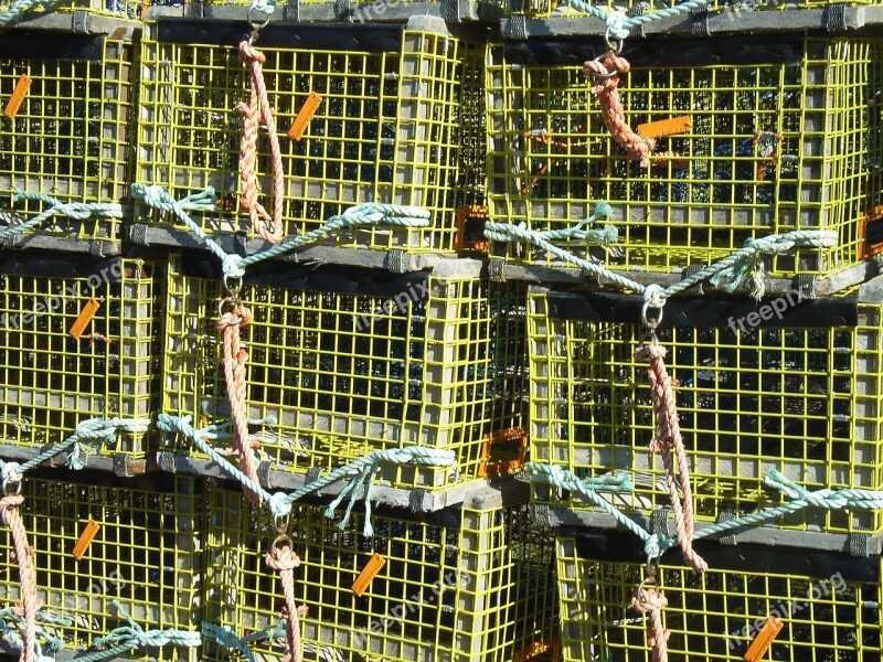 Traps Pots Lobster Catch Fishing