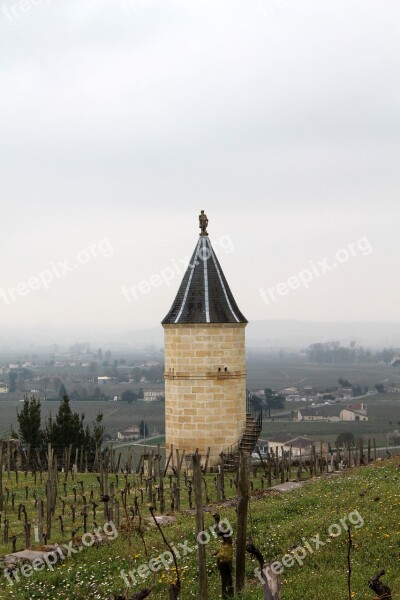 Saint émilion France Wine Vineyards Vineyard