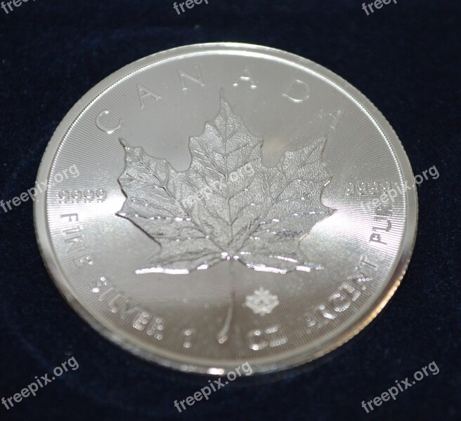 Silver Coin Currency Value Finance Metal