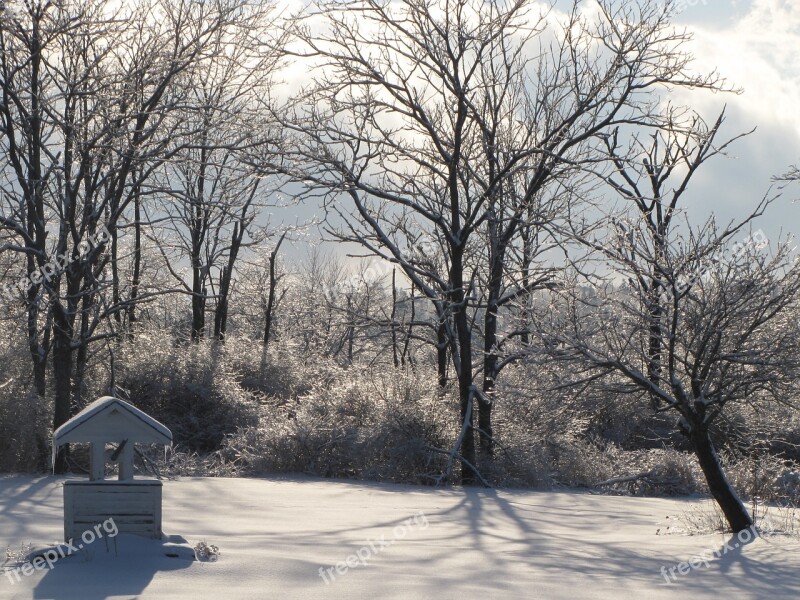 Wishing Well Ice Snow Trees Field