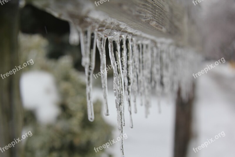 Ice Storm Icicles Winter Snow