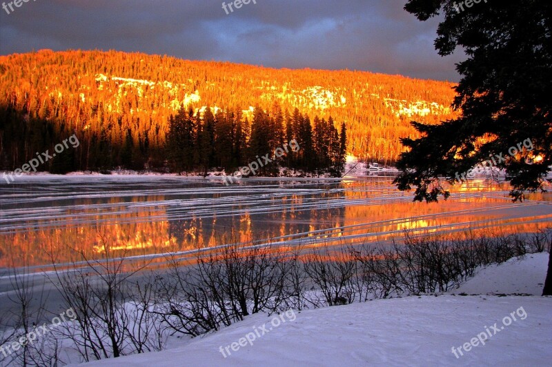 Winter Landscape Ice Water Mountain Trees