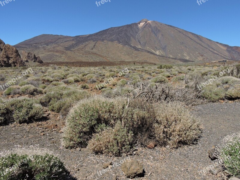 El Teide Tenerife Mountain Nature The National Park