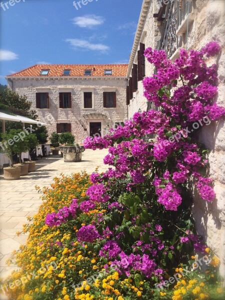 Buganvilia Flowers Castle Castle Hotel Kazbek Hotel