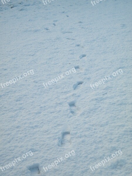 Snow Footprints Path White Cold