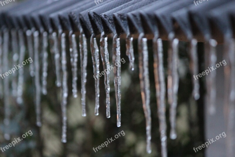 Ice Icicle Winter Cold Frozen