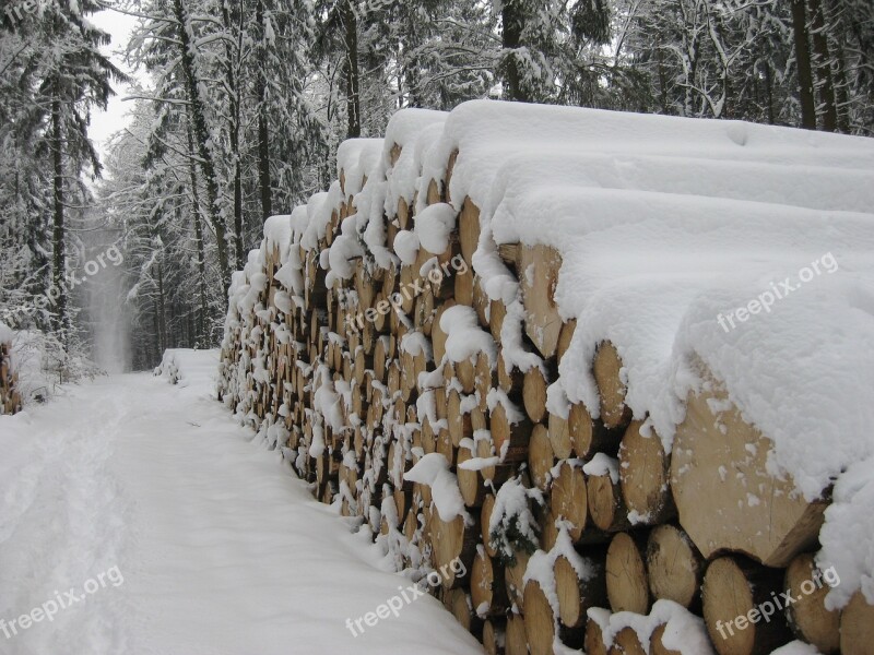 Snow Wood Tree Trunks Wintry Snowy