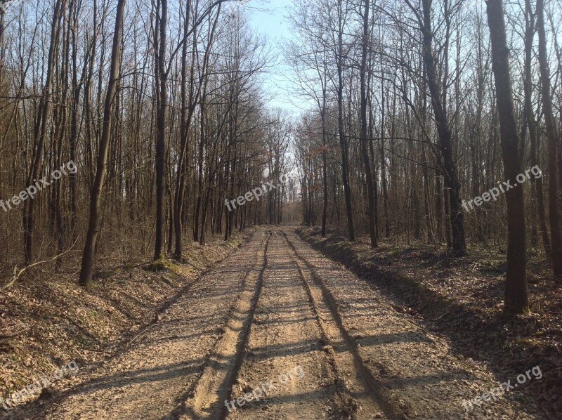 Spring Road Dusty Road Muddy Road Dirt Road