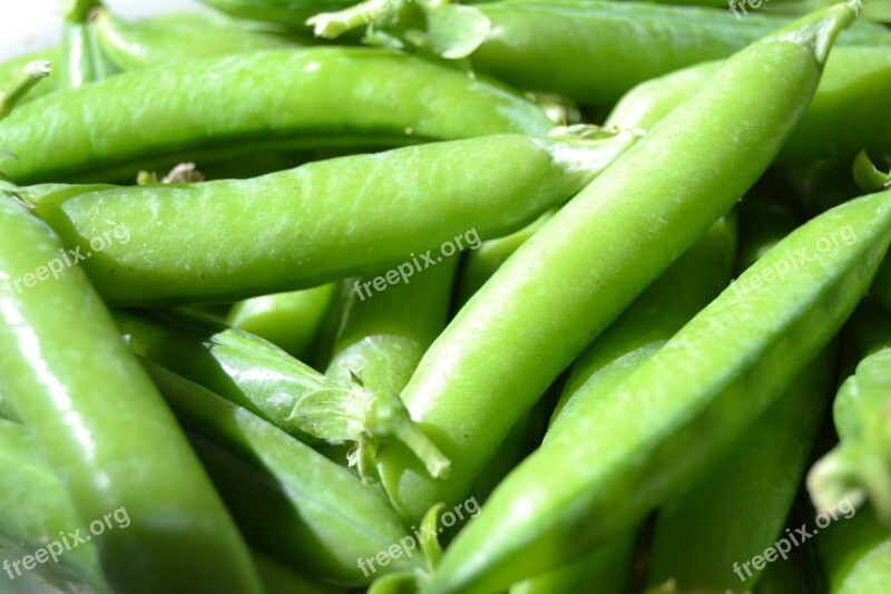 Peas Autumn Harvest Pea Free Photos