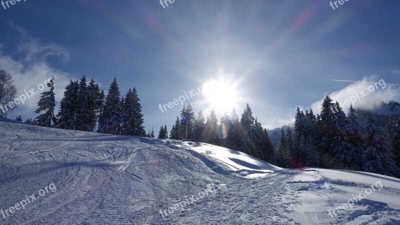 Winter Landscape Snow Sun Backlighting