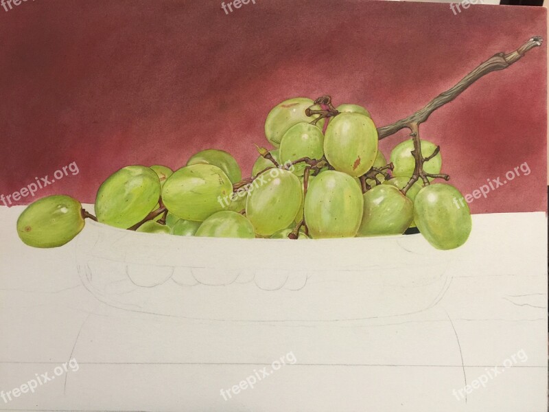 Grapes Drawings Painting Still Life Colored Pencil