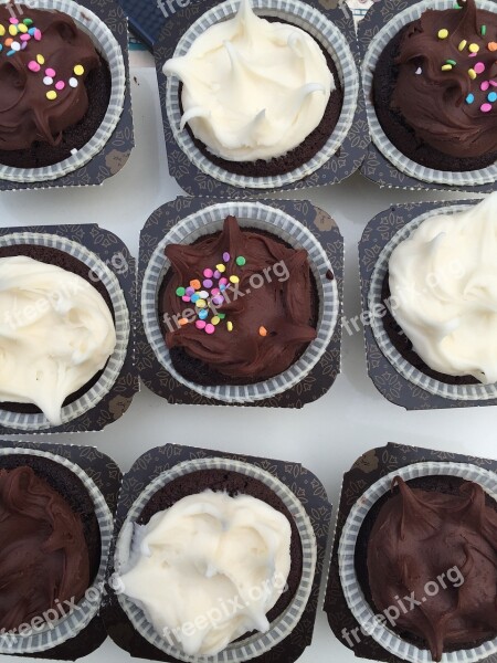 Cupcakes Dessert Chocolate Vanilla Frosting