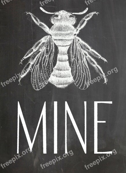 Chalkboard Bee Blackboard Sign Cute