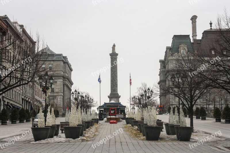 Montreal Downtown Trees Display Canada