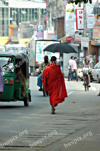 Monk Sri Lanka Buddha Culture Travel