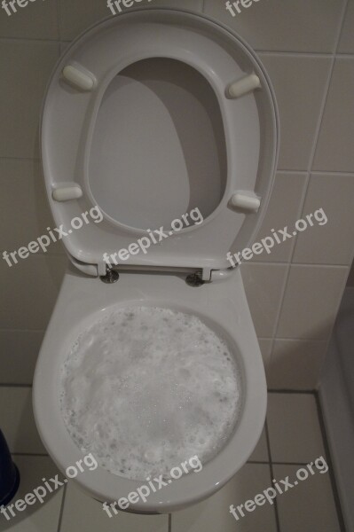 Toilet Loo Wc Clean Foam