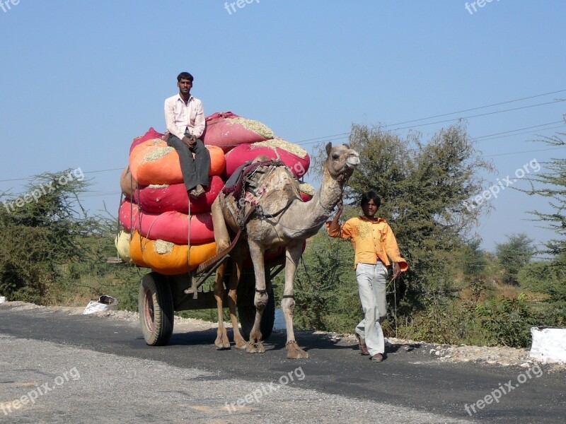 India Transport Desert Ship Overloaded Traffic