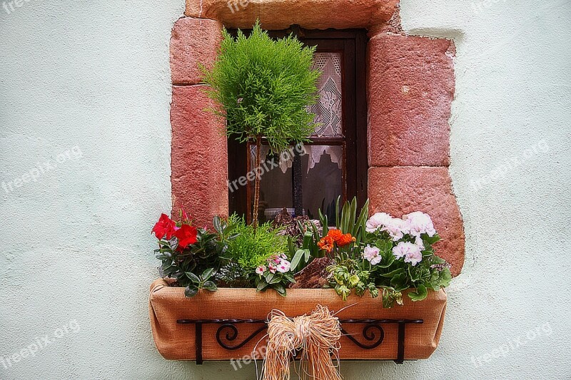 Flower Box Window Building Free Photos