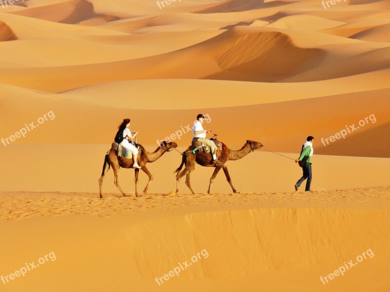 Morocco Desert Dunes Free Photos