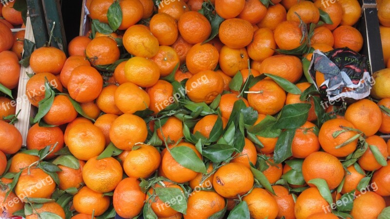 Oranges Fruits Leaves Citrus Fruit Fruit