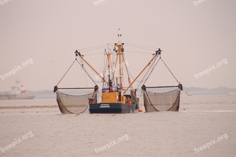 Sea Zeeland Cutter Fish Breskens