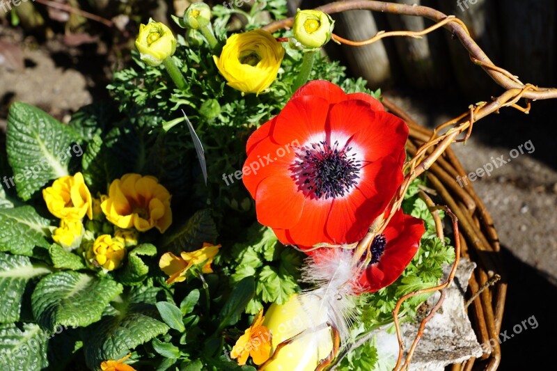 Flower Flourished Spring Macro Party