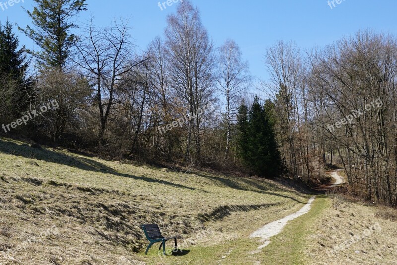 Away Meadow Forest Nature Landscape