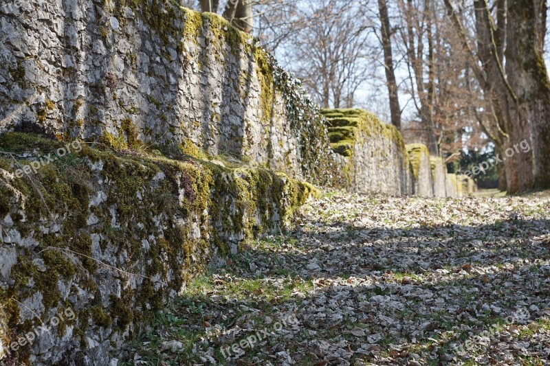 Ruin Wall Park Castle Honing Mountain