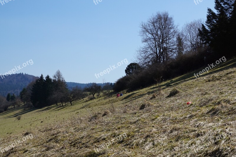 Slope Meadow Children Nature Landscape