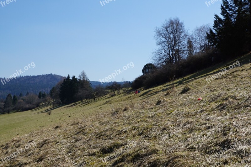 Slope Meadow Children Nature Landscape