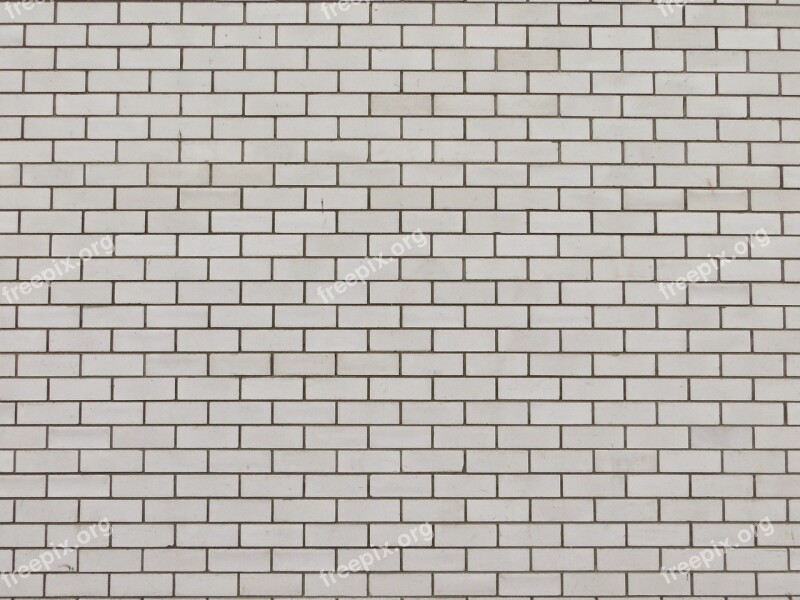 Bricks Brick Wall White Bricks White Stone