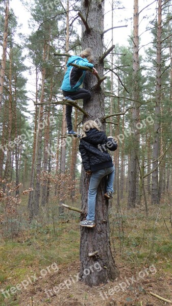 Children Climb Forest Play Leisure