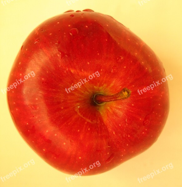 Apple Fruit Red Nature Plant