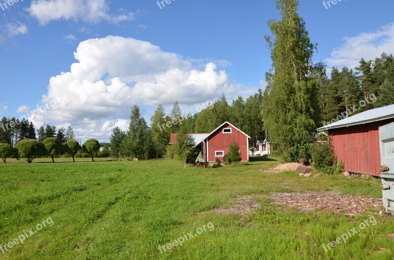 Field Grass Nature Landscape Prairie