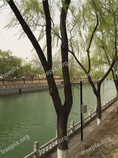 Spring Running Water Willow Green River Banks