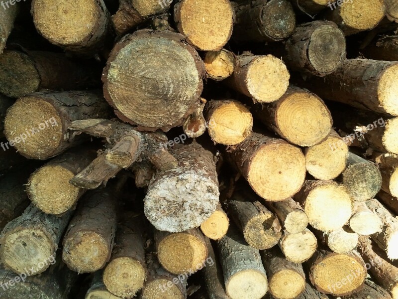 Wood Logs Nature Rough Background