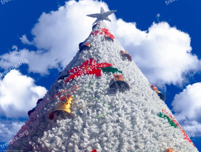 Christmas Tree Sky Blue Cloud