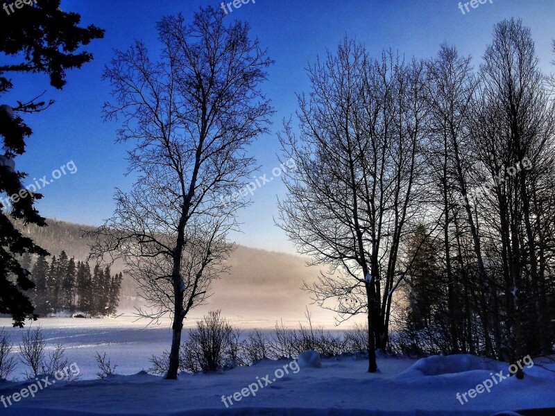 Winter Landscape Trees Winter Nature Contrast