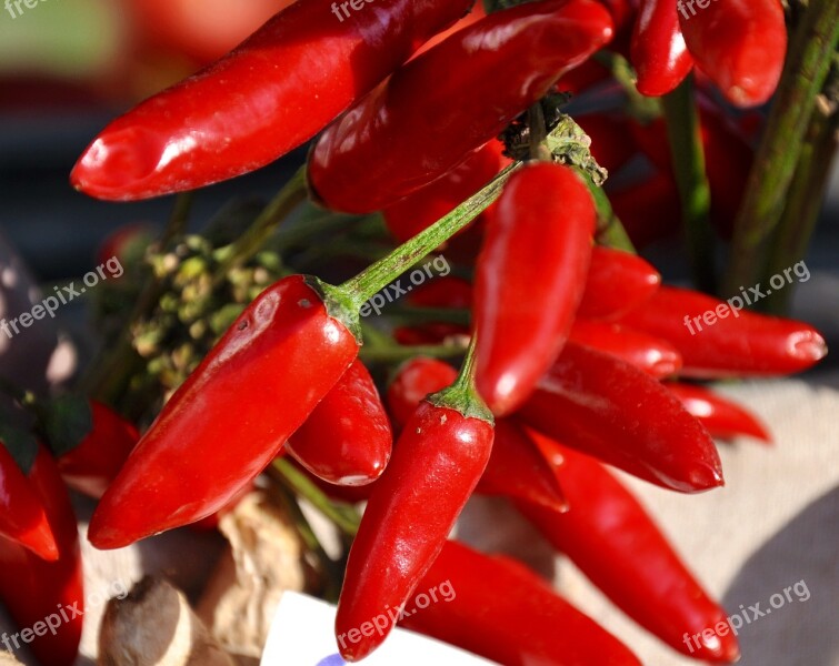 Vegetables Red Peppers Food Free Photos