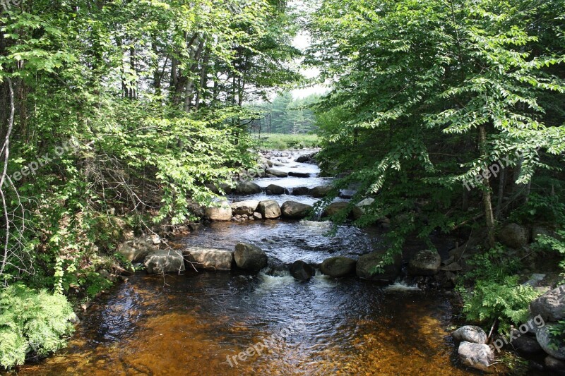 Fishway Fish Ladder Fish Pass Fish Steps Swim