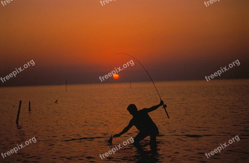 Fisherman Sunset Fishing Water Silhouette