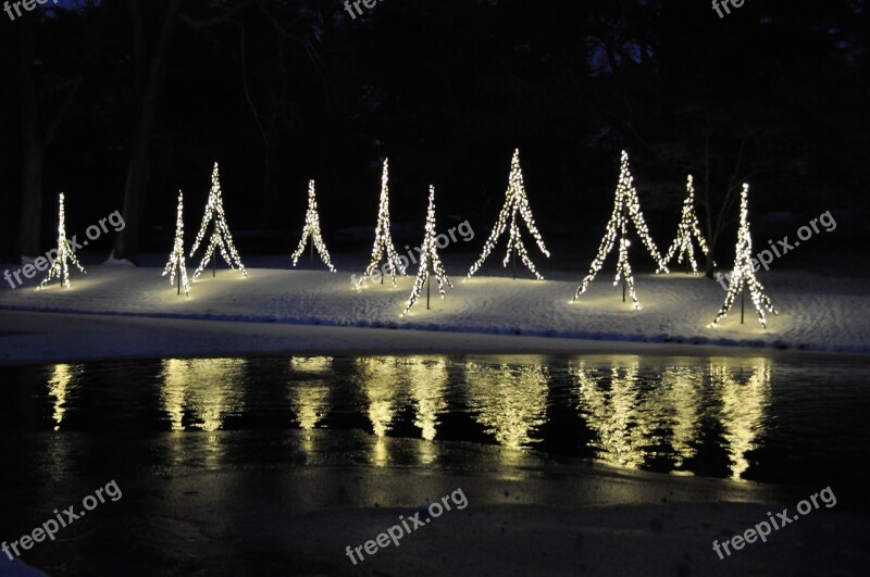 Lights Reflection Gardens Christmas Holiday