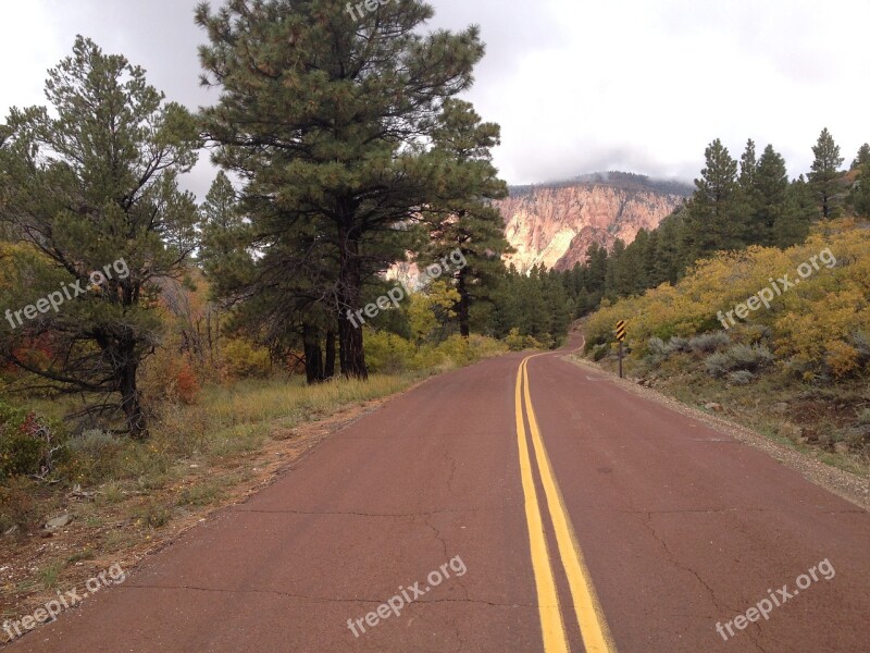 Road Yellow Country Tree Go Far