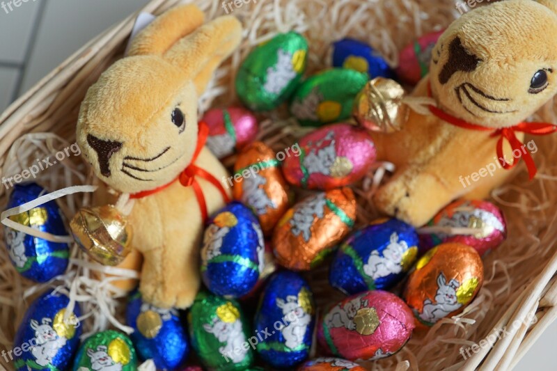 Easter Rabbit Egg Festival Chocolate