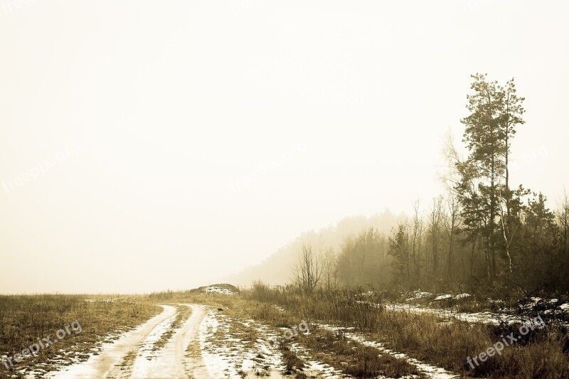 Dirt Road Rural Country Side Country Nature