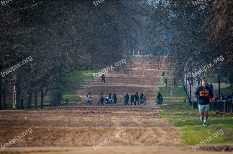 Park People Runner Running Fitness