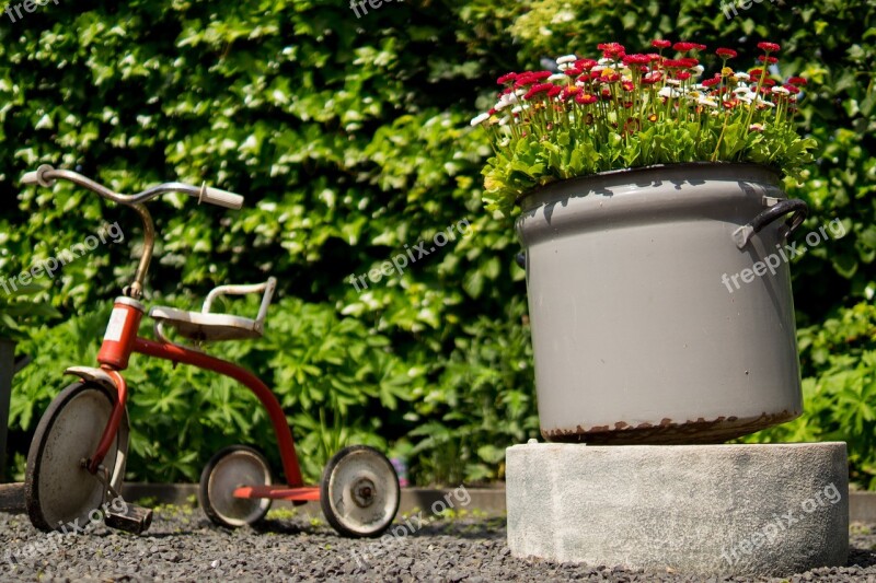 Tricycle Pots Flowers Garden Leaves