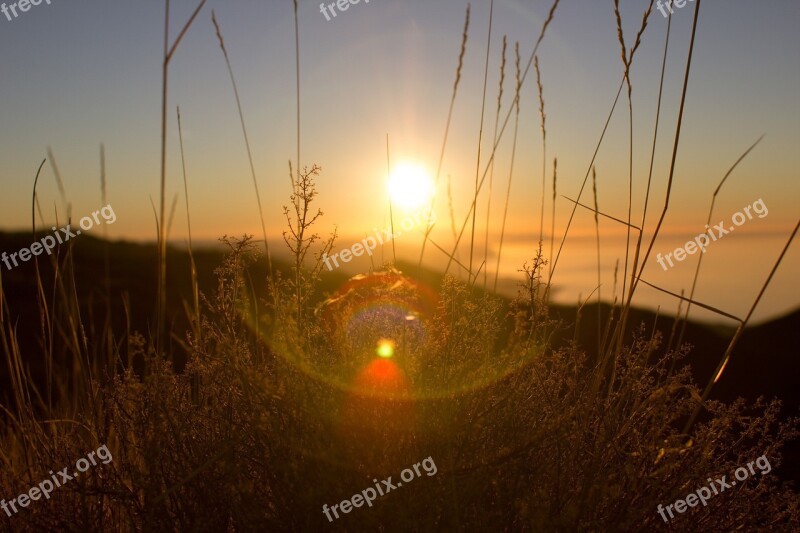 Sunset Sunrays Sunlight Plants Free Photos