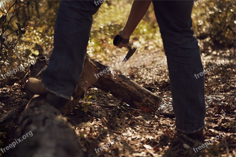 Axe Chopping Wood Lumber Logs